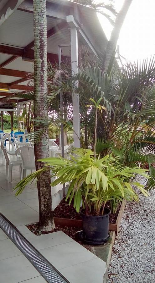 Hotel Des Amandiers Cayenne Eksteriør billede