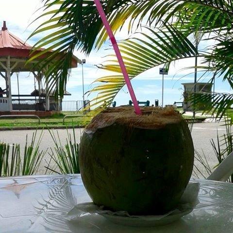 Hotel Des Amandiers Cayenne Eksteriør billede