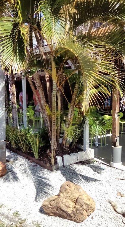 Hotel Des Amandiers Cayenne Eksteriør billede